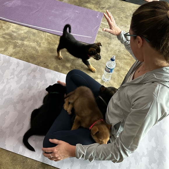 Meet your Posher, Amanda - Picture 3 of 7